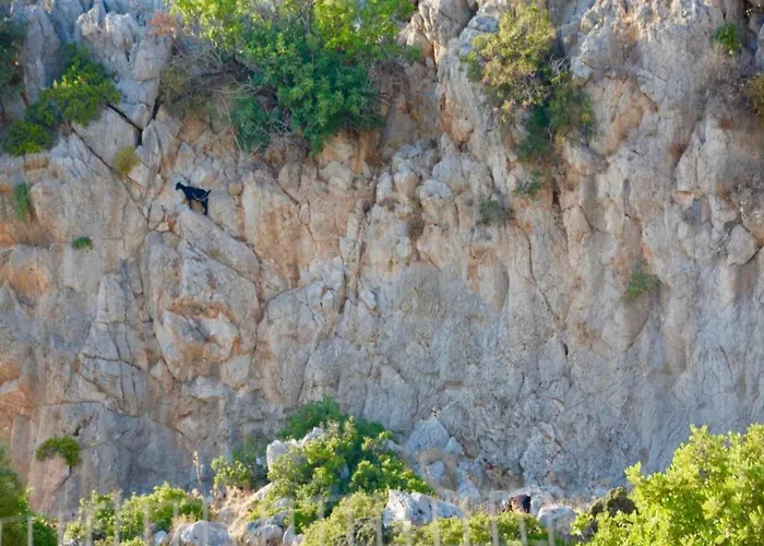 فيلة In Rhodes With Infinity Pool *