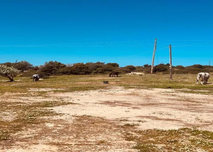 Villa In Rhodes With Infinity Pool Kalithiész