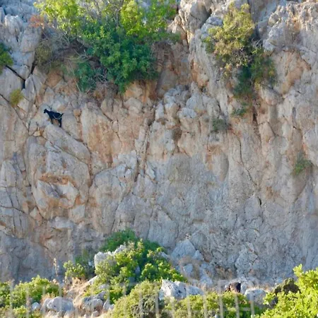Villa In Rhodes With Infinity Pool *